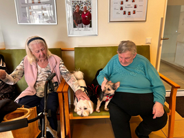 Zwei ältere Frauen sitzen auf einer Bank. Die links sitzende Frau streichelt einen kleinen weißen Hund, während die rechts sitzende Frau einen kleinen, gefleckten Hund auf ihrem Schoß hat. Beide wirken entspannt und genießen die Zeit miteinander.
