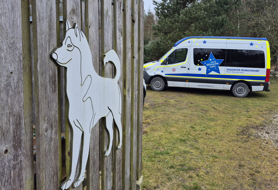 Hundesilhouette an einem Zaun, im Hintergrund ein buntes Fahrzeug.