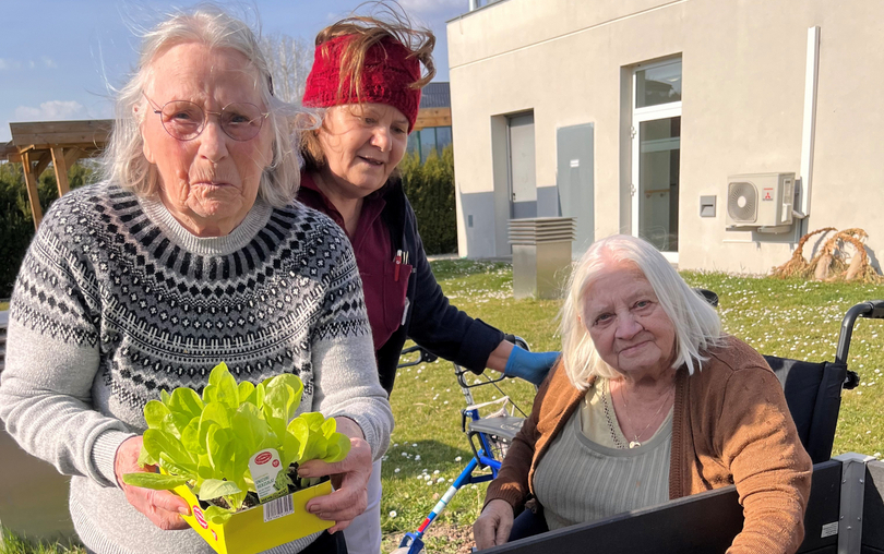 Drei ältere Frauen im Freien, die zusammen im Hochbeet gärtnern. Eine Frau hält eine Pflanze in der Hand, während die andere in der Erde arbeitet. Im Hintergrund ist ein modernes Gebäude sichtbar.