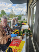 Drei ältere Frauen gärtnern auf einem Balkon mit bunten Blumen.
