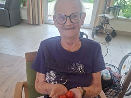 Eine ältere Frau sitzt auf einem Stuhl und hält drei rote Tomaten in ihren Händen. Sie trägt eine lila T-Shirt und hat eine Brille auf. Im Hintergrund sind Fenster und ein Rollator sichtbar.