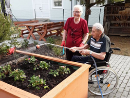 Ältere Menschen gießen gemeinsam Pflanzen in einem Hochbeet im Garten.