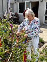 Eine ältere Frau in bunter Bluse befestigt farbige Bänder an einem Strauch im Freien. Im Hintergrund sind Personen auf einer Terrasse sichtbar. Es ist ein sonniger Tag, und die Umgebung wirkt einladend und freundlich.