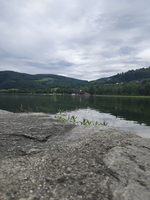 Ruhiger See umgeben von grünen Hügeln und bewölktem Himmel.