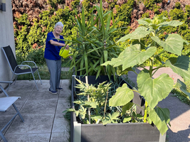 Eine ältere Frau gießt Pflanzen in einem Hochbeet auf einer Terrasse. Um sie herum wachsen verschiedene Pflanzen, darunter Sonnenblumen und andere grüne Pflanzen. Im Hintergrund sind Sträucher und ein blauer Himmel sichtbar.