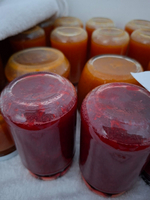 Ein Bild von mehreren Gläsern mit eingemachten Fruchtkonserven. Im Vordergrund stehen zwei Gläser mit rot gefärbtem Inhalt, während im Hintergrund orangefarbene Gläser sichtbar sind. Alle Gläser sind verschlossen und scheinen frisch zubereitet zu sein.