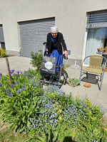 Eine ältere Person mit Kopftuch steht draußen in einem Garten, umgeben von bunten Blumen. Sie benutzt einen Einkaufswagen, der eine Tasche trägt. Im Hintergrund sind ein Stuhl und eine Wand mit Fenster zu sehen.