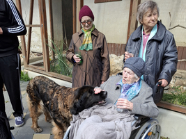 Ein Hund spielt freundlich mit einer Frau im Rollstuhl, umgeben von anderen Senioren.