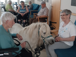 Senioreninteraktion mit einem kleinen weißen Pony in einem Gemeinschaftsraum.