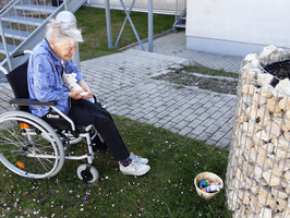 Eine ältere Frau im Rollstuhl sitzt draußen und hält eine Katze auf ihrem Schoß. Um sie herum blühen kleine Blumen, und in der Nähe steht ein Korb mit bunten Eiern. Im Hintergrund ist eine Treppe und ein Gebäude sichtbar.