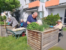 Ältere Menschen gärtnern gemeinsam in einem sonnigen Innenhof.