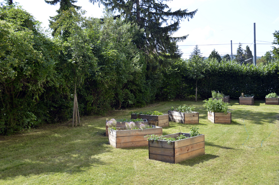 WohnenPlus Riga - Gemeinschaftsgarten mit Hochbeeten