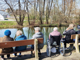 Eine Gruppe von Menschen sitzt auf Bänken am Ufer eines ruhigen Gewässers. Einige sind in Rollstühlen, während andere auf normalen Bänken sitzen. Die Umgebung besteht aus Bäumen und grünem Gras, und die Szene vermittelt eine friedliche Atmosphäre.