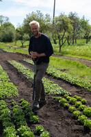 Ein Mann steht auf einem Feld mit frisch gepflanztem Gemüse. Er hält eine Schaufel und lächelt. Im Hintergrund sind Bäume und eine grüne Wiese zu sehen, während vor ihm Reihen von Salatpflanzen wachsen. Die Szene ist sonnig und zeigt eine landwirtschaftliche Umgebung.