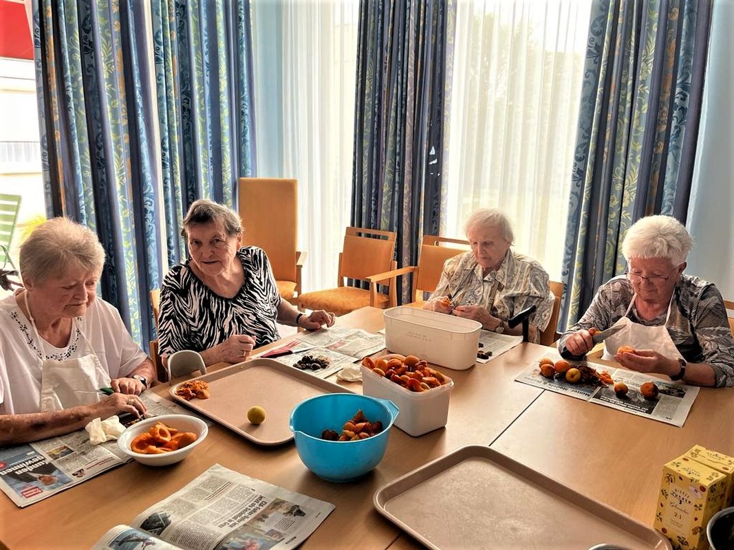 Marillenkuchen - Arbeiter-Samariter-Bund Österreichs